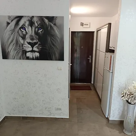 Dika Sofia Apartamento Mangalia