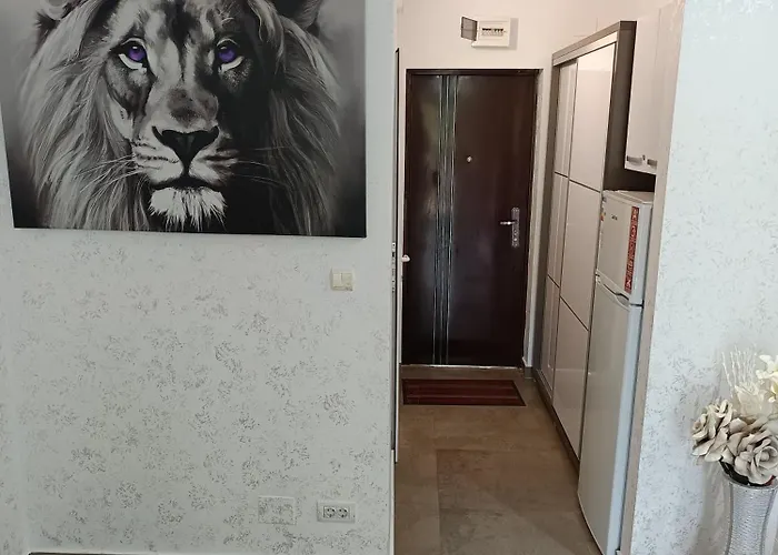 Dika Sofia Apartment Mangalia